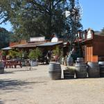 Cambria_2015_0141 (November 07, 2015)